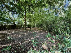 Photo 21- click for photo gallery